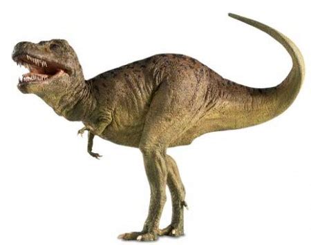 Tyrannosaurus Atlas Dinosauru