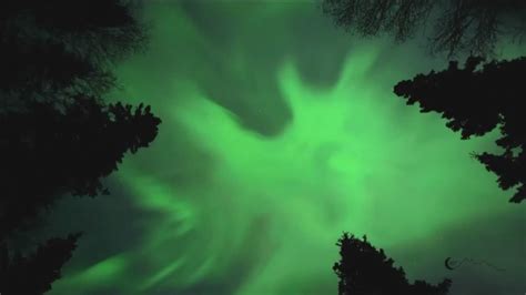 Northern Lights Expected To Be Visible This Week In 17 States