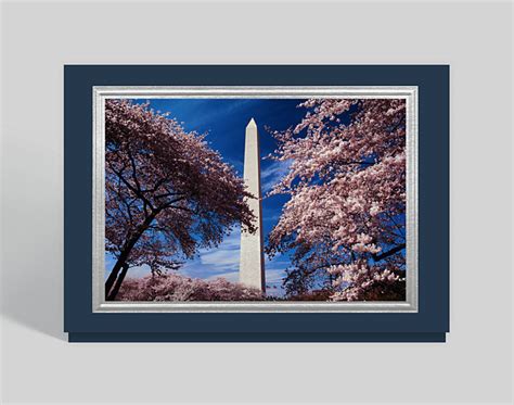 Washington Dc The Washington Monument Christmas Card 300816