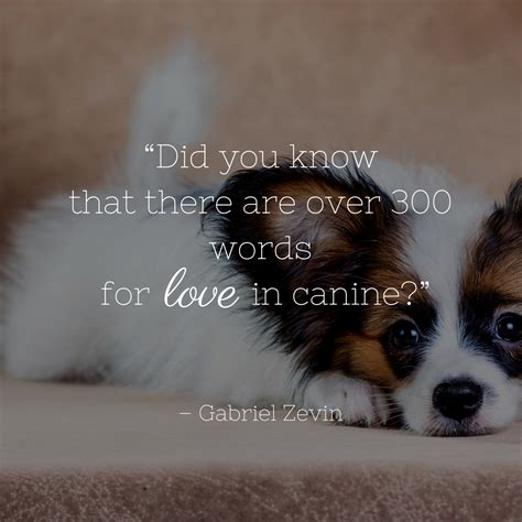 Top Dog Love Picture Quotes Love Quotes Collection Within Hd Images