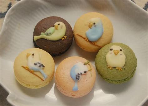 Budgie Cookies マカロン 鳥 インコ グッズ