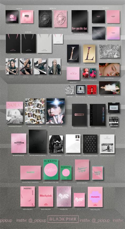 Explore BLACKPINK S Discography And Wishlist