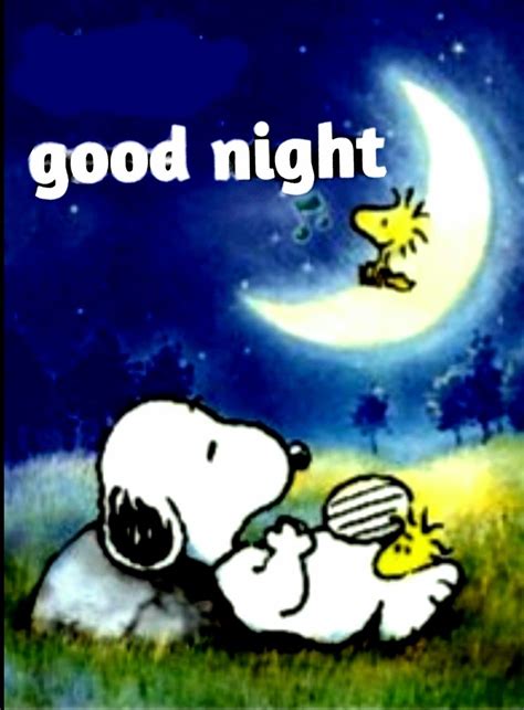 スヌーピーgood Night Snoopy Funny Good Night Hug Snoopy And Woodstock