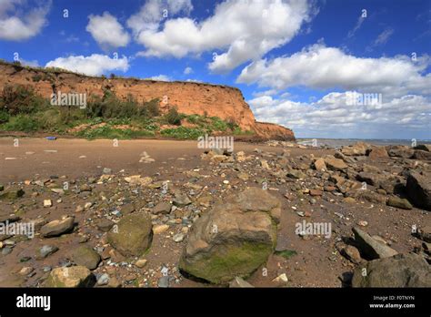 Holderness England Hi Res Stock Photography And Images Alamy