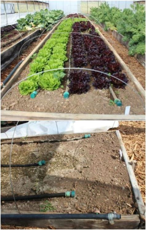16 Cheap And Easy Diy Irrigation Systems For A Self Watering Garden