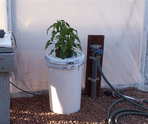 Easy To Build Five Gallon Bucket Dwc Hydroponic System