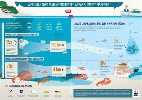 Infographic How Well Managed Marine Protected Areas Support Fisheries