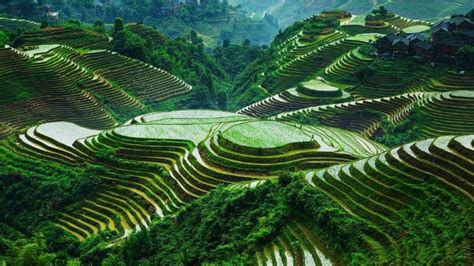8 Most Breathtaking Rice Terraces In Asia Exotic Voyages