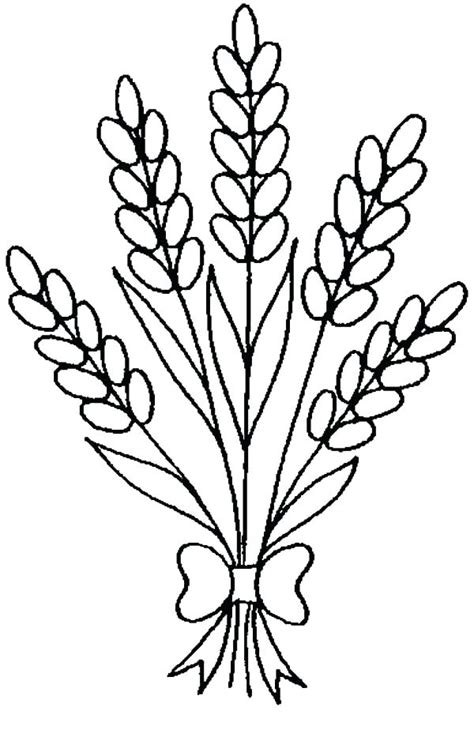 Lavender Coloring Pages - Best Coloring Pages For Kids