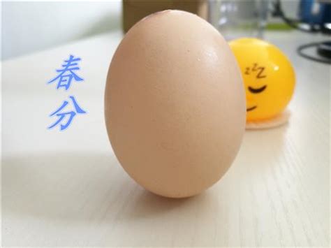 股票入门 股票知识 股票术语 炒股技巧 选股技巧 买入技巧 卖出技巧 短线技巧 看盘技巧 跟庄技巧 炒股经验 投资策略 技术指标 ｋ线图 均线 分时图 成交量. 春分立蛋 教你3种作弊技巧_中国习俗_习俗文化_食品科技网