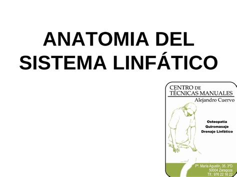 Pdf Anatomia Del Sistema Linfatico Dokumen Tips