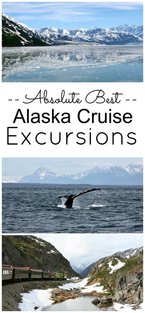 What Alaska Cruise Excursions Do We Recommend The Talking Suitcase