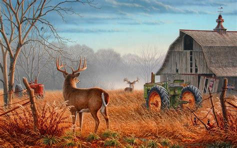 Free Download Deer Hunting Wallpaper Hd Kolpaper Awesome Hd Wallpapers