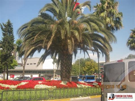 3 nopti 2 persoane si mic dejun odda boutique hotel la 240 euro calatoreste in cetatea turcilor! Turcia Istanbul palmier - Turism Cultural