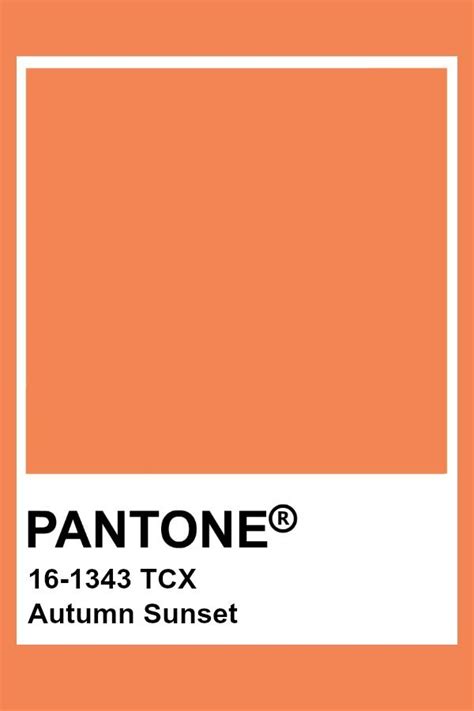 Pantone Autumn Sunset Pantone Colour Palettes Pantone Color Chart