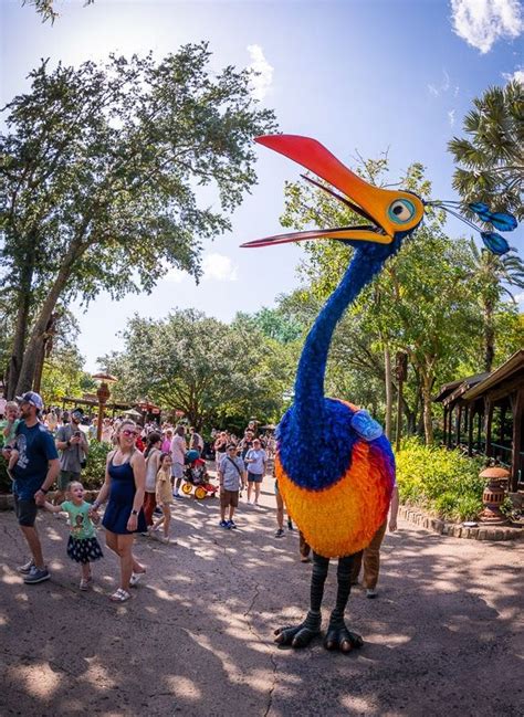 Animal Kingdom Afternoon Arrival Strategy Animal Kingdom Attractions