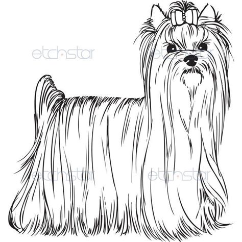 yorkie coloring pages akc yorkshire terrier standing im feeling crafty pinterest