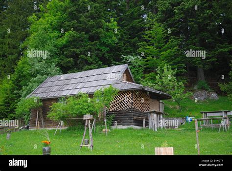 Lonely Wooden House In Forest Stock Photo Alamy