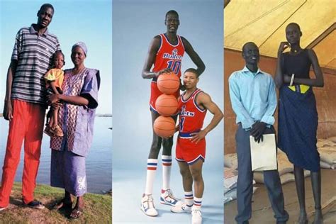 Meet The Dinka People Of South Sudan The Tallest People In Africa Talkafricana