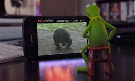 Kermit Caught Watching Interracial Porn
