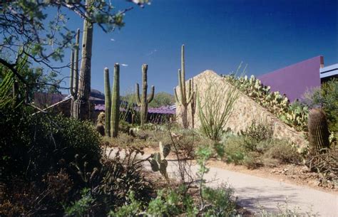Arizona Sonora Desert Museum Restaurant And Gallery Sah Archipedia