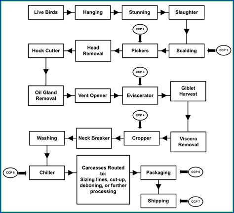 Food Preparation Haccp Flow Chart Template Templates Resume Examples