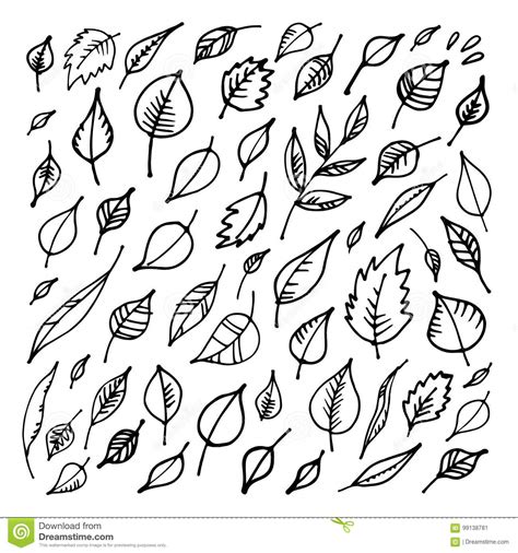 Set Of Hand Drawn Leaves Design Elements Vector Illustration Stock