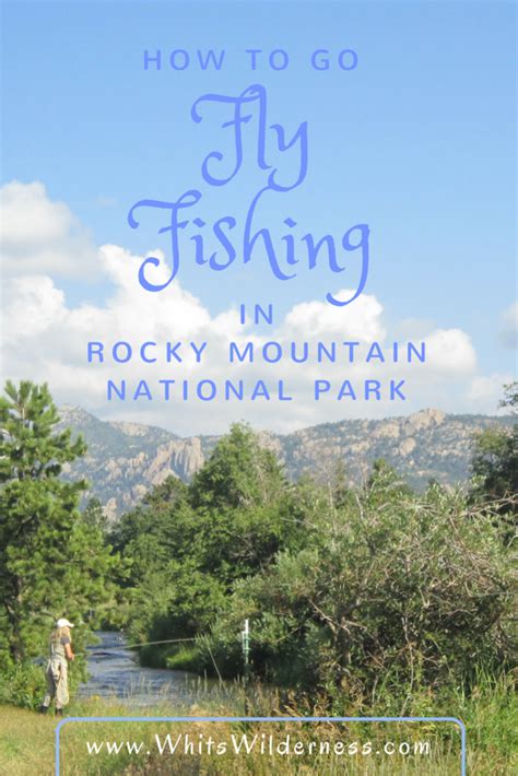 How To Go Fly Fishing In Rocky Mountain National Park Rocky Mountain