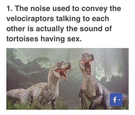 Jurassic Park Fact Velociraptor Noise Are Turtles Paleontologist Jurassic Park Velociraptor