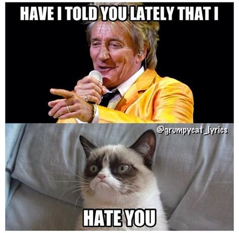 Grumpy Cat Sings Have I Told You Lately By Rod Stewart Grumpycat