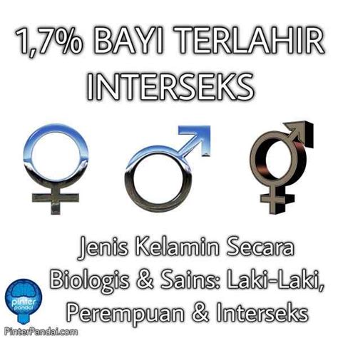 Asal Simbol Jenis Kelamin Laki Laki Perempuan Interseks Secara Sains
