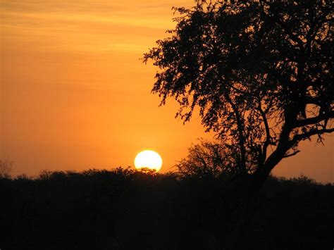 African Sunrise Background By Xxbekaxx On Deviantart