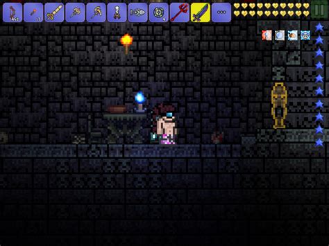 Princess Dress Invisible Yes My Char Is Naked Terraria Community Forums