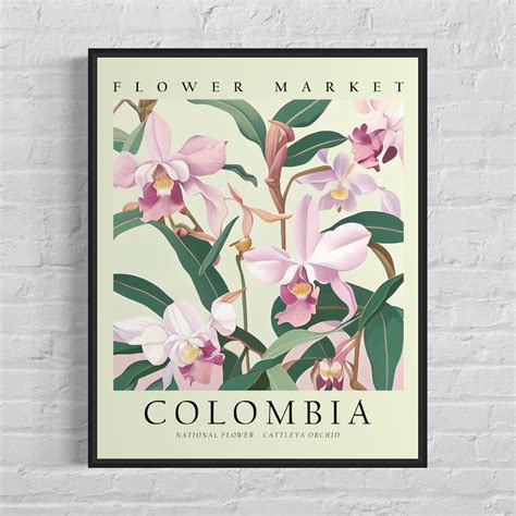 Colombia National Flower Colombia Flower Market Art Print Cattleya