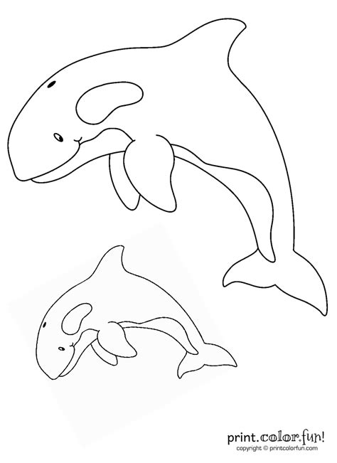 Coloring book for children (killer whale. Two orcas - Print Color Fun!