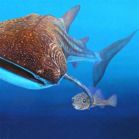 Whaleshark Friend Art Card Deep Impressions Underwater Art