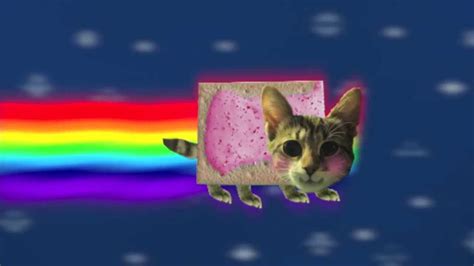 Weirdness Real Life Nyan Cat Youtube