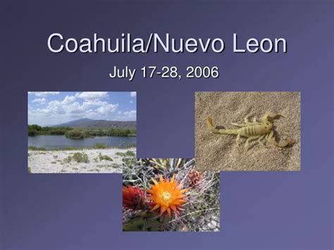 Ppt Coahuilanuevo Leon Powerpoint Presentation Free Download Id