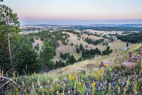 Wind Cave National Park In South Dakota We Love To Explore