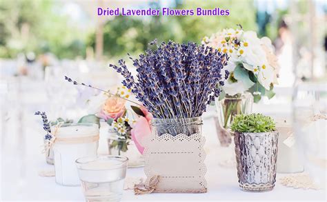 230 Stems Dried Lavender Flowers Bundles 3 Bunches Stems
