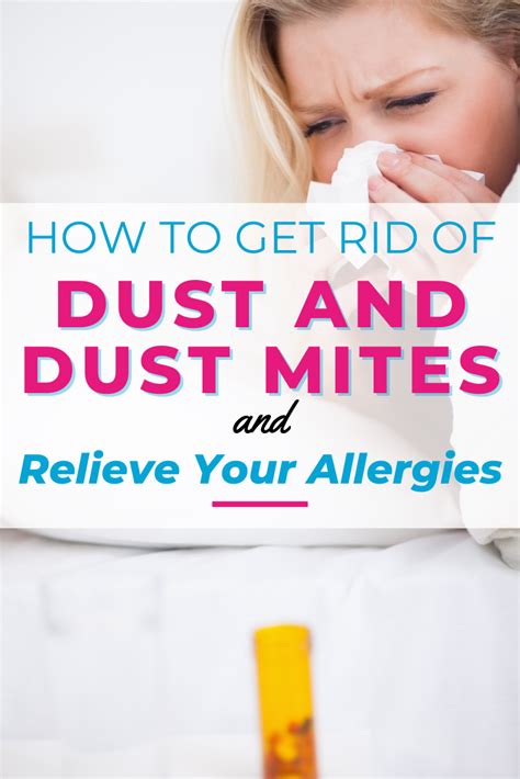 What Kills Dust Mites Naturally 3 Easy Diy Options Dust Mites