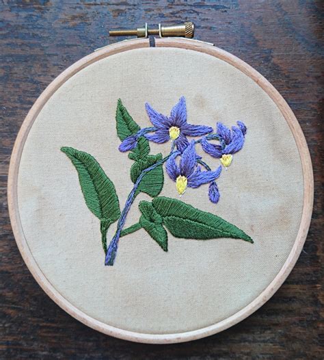 how-to-embroider-a-flower-·-how-to-embroider-art-·-needlework-on-cut