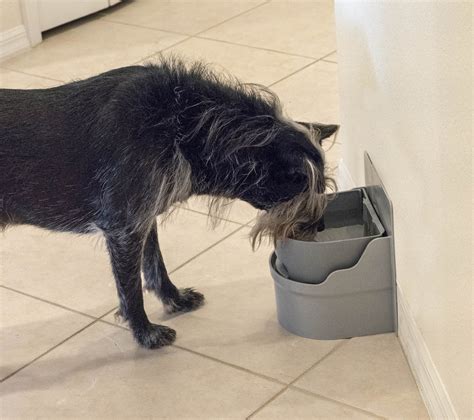 Perpetual Well Automatic Water Bowl Perpetual Well