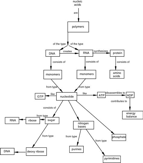 Mastering Biology Concept Map Answers Chapter 1 Map