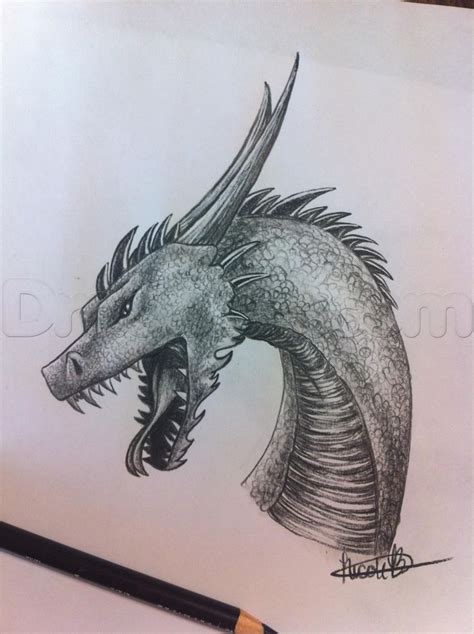 In one of the previous lessons, the crew of easydrawingart.com showed you how to portray a dragon, and now we will show you how to draw a dragon head. 17 Best images about Dragon on Pinterest | How to draw ...