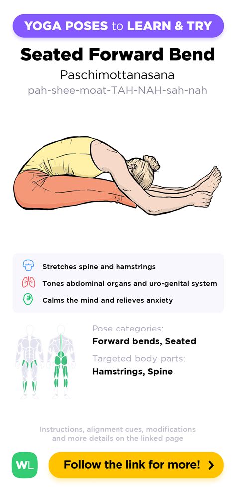 Seated Forward Bend Paschimottanasana In Sanskrit Is A Beginner Forward Bends And Seated Yoga