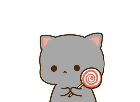 Gato Animado Anime Cat Cute Cats Grey Cats