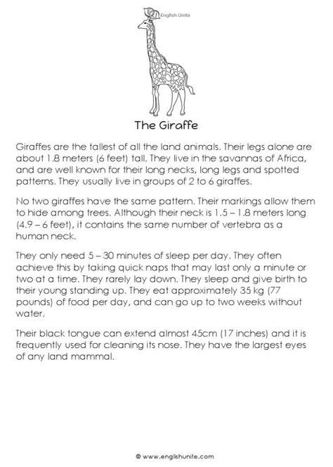 Short Story The Giraffe Reading Passages Short Stories Reading