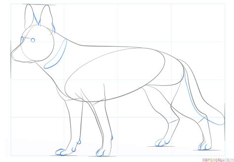 How To Draw A German Shepherd Dog Step By Step Drawing Tutorials