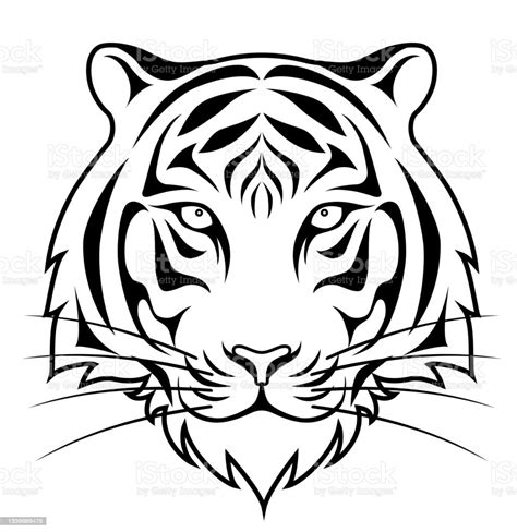 Wajah Harimau Terisolasi Di Latar Belakang Putih Ilustrasi Stok Unduh